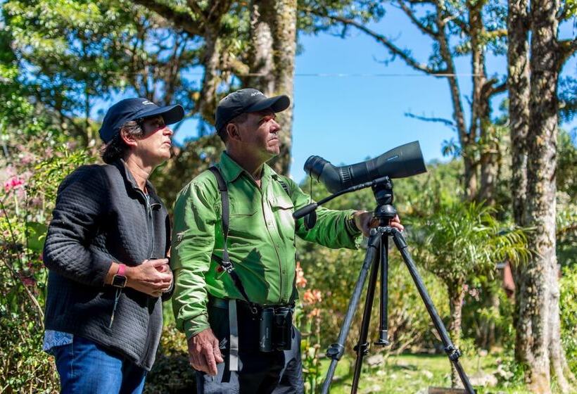 Отель Sueños Del Bosque