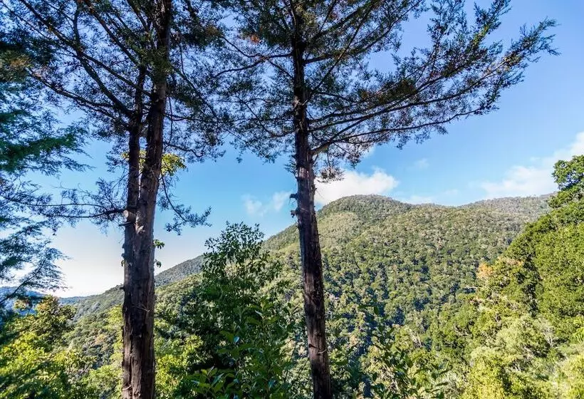 Hotelli Sueños Del Bosque