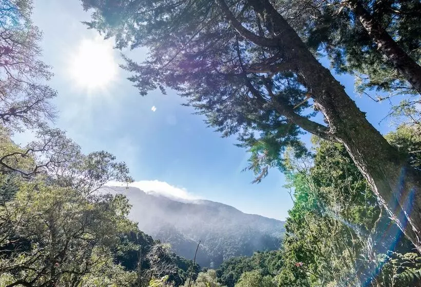 Hotelli Sueños Del Bosque