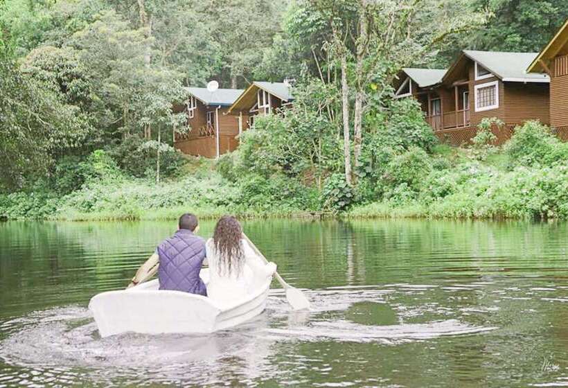 Отель Sueños Del Bosque