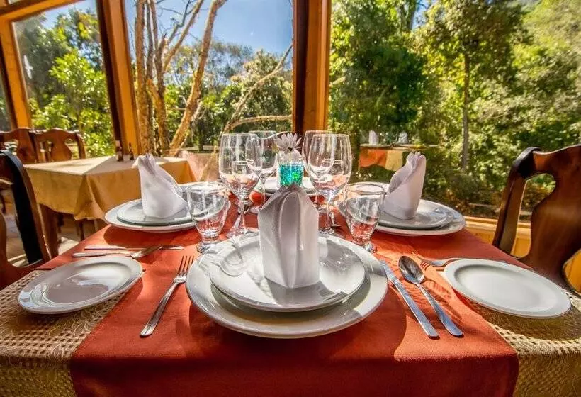 Hotelli Sueños Del Bosque