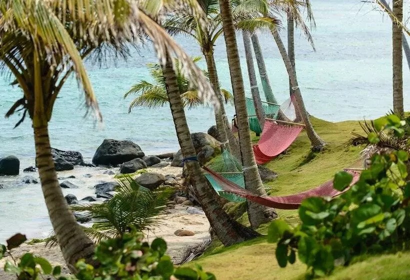 ホテル Yemaya Reefs