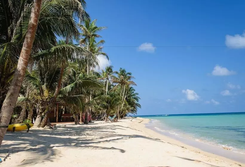 ホテル Yemaya Reefs