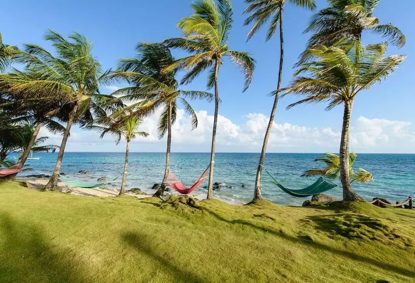 ホテル Yemaya Reefs