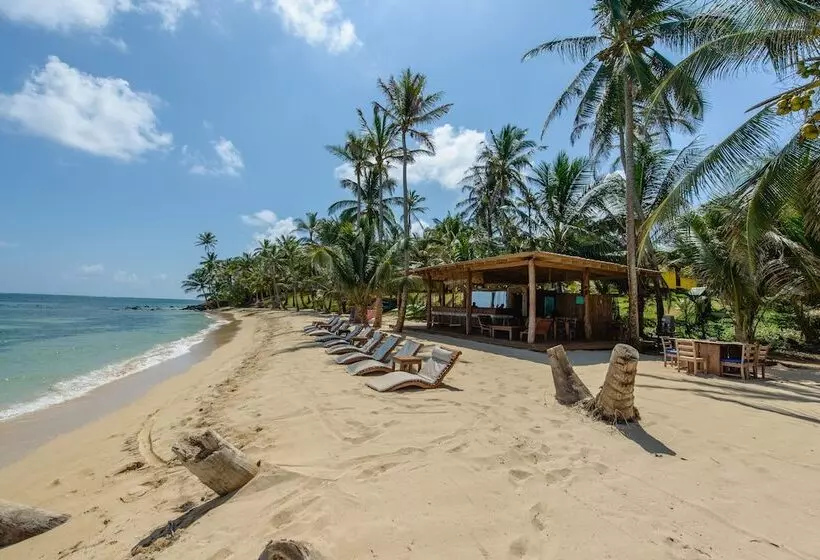 ホテル Yemaya Reefs