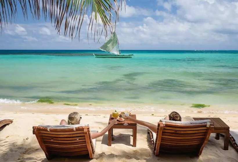 ホテル Yemaya Reefs