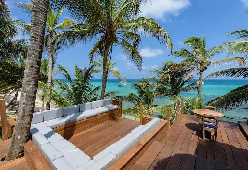 ホテル Yemaya Reefs