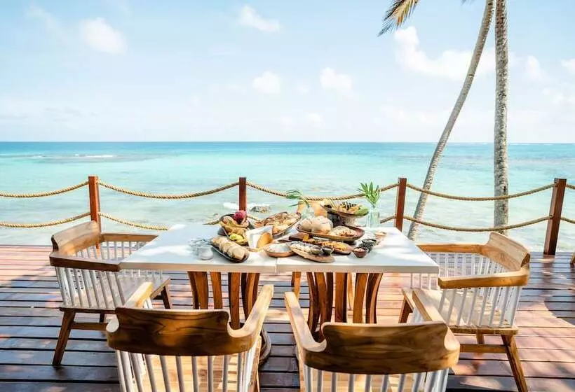 ホテル Yemaya Reefs