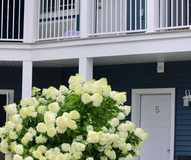 فندق على الطريق Empire Lakeshore Inn