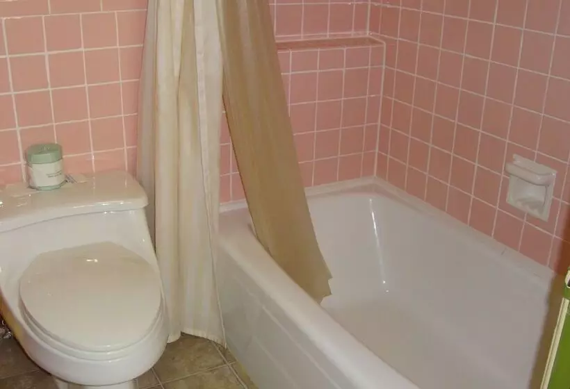 Pinconning Trail Inn Motel