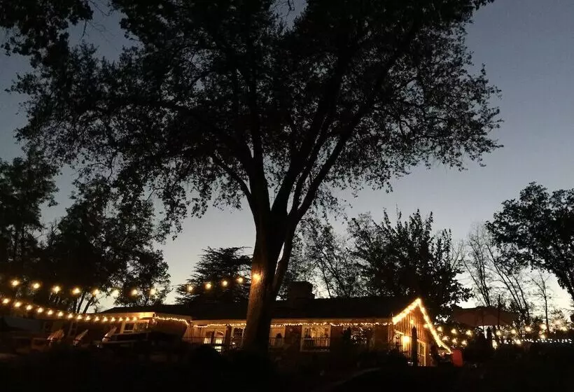 Queen S Inn By The River