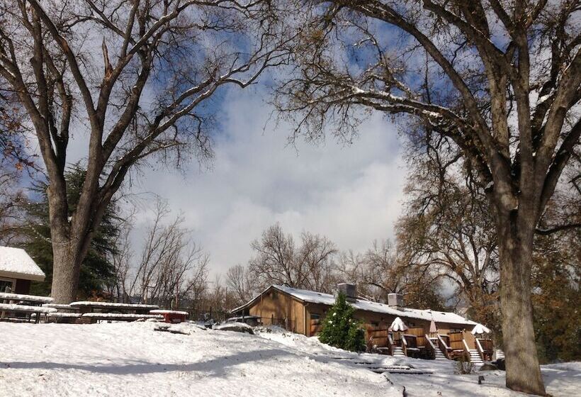 Queen S Inn By The River