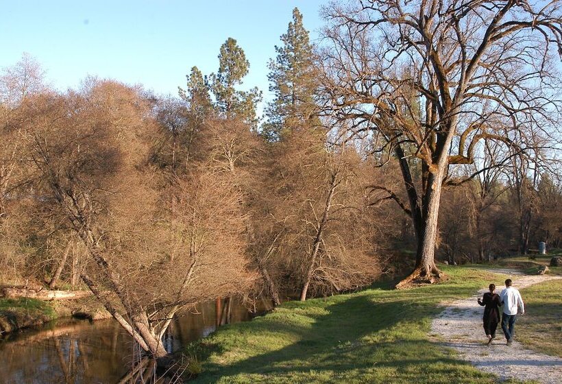 Queen S Inn By The River