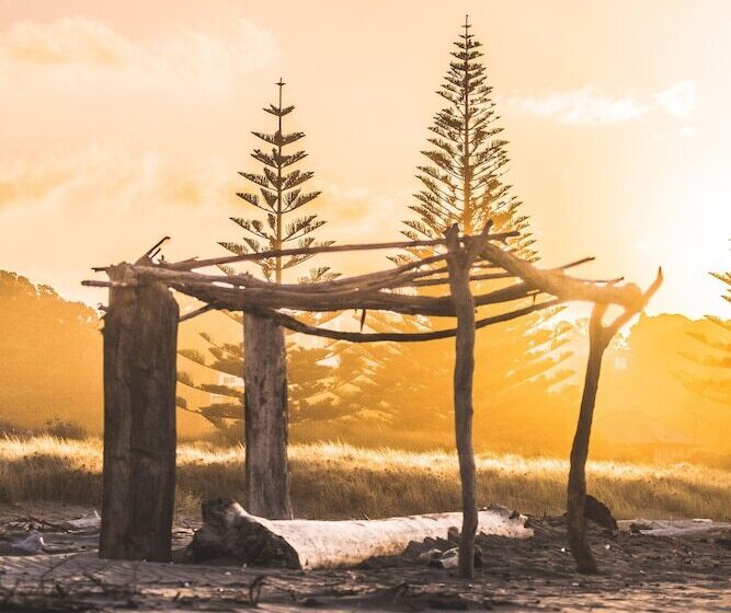 منتجع Island View Holiday Park