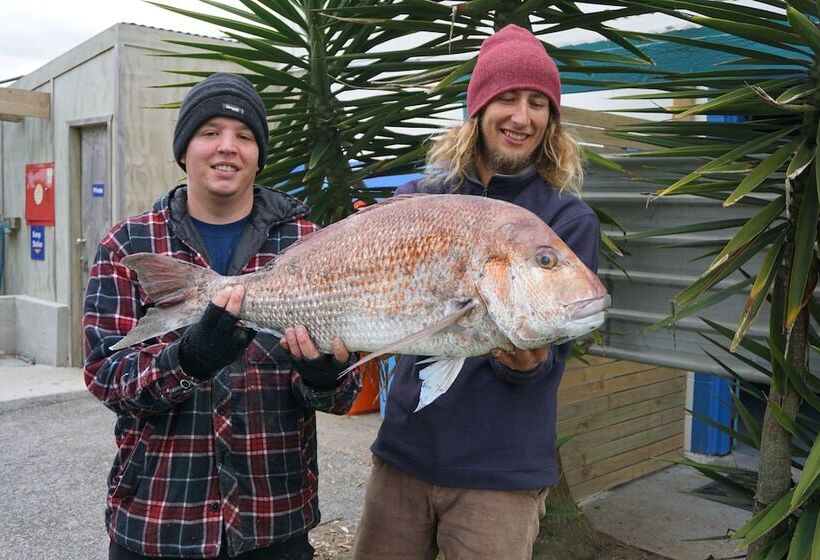 منتجع Island View Holiday Park