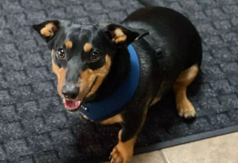 Southfork Motel And Grill