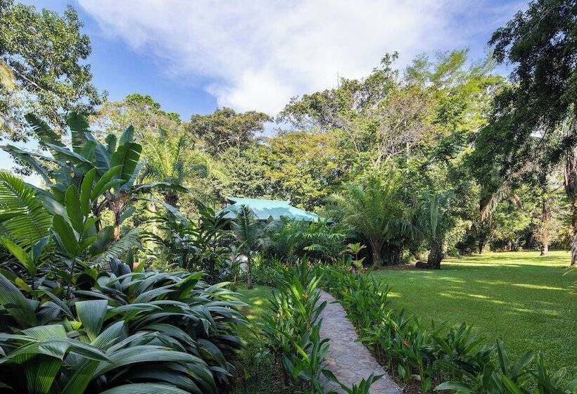 فندق Bosque Del Cabo Rain Forest Lodge