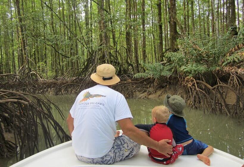 فندق Bosque Del Cabo Rain Forest Lodge