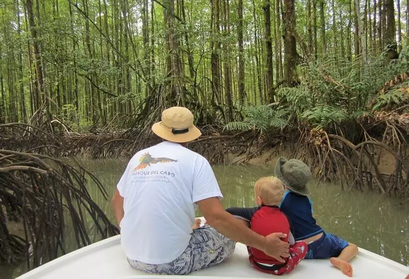 Hotel Bosque Del Cabo Rain Forest Lodge