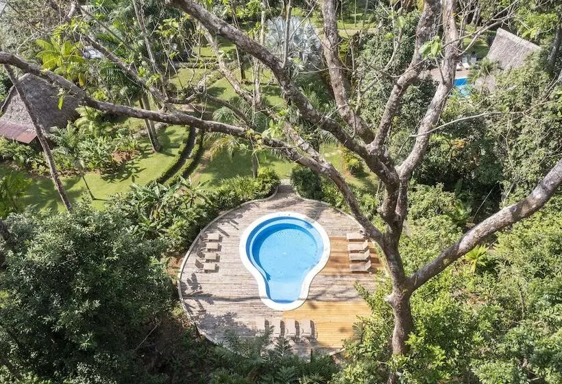 Hotel Bosque Del Cabo Rain Forest Lodge