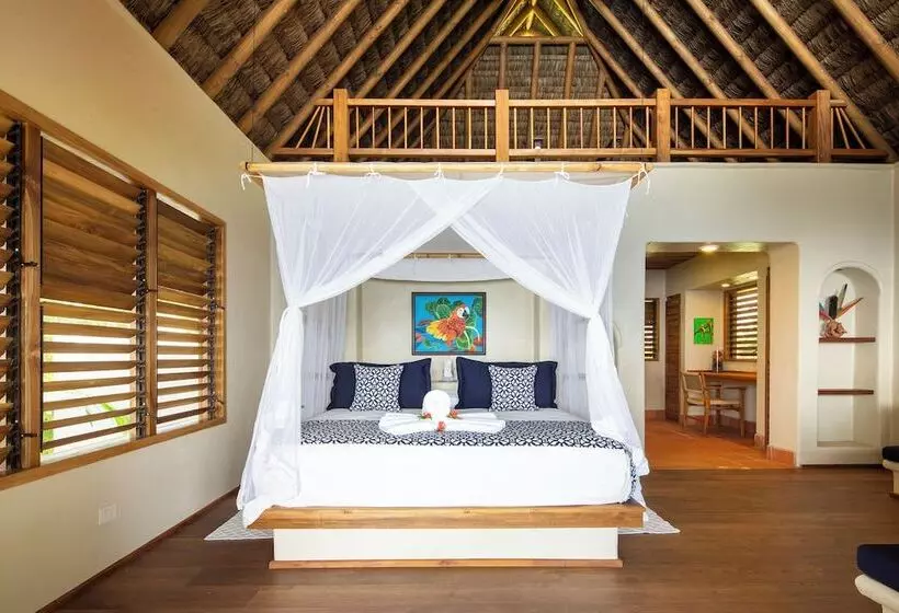 Hotel Bosque Del Cabo Rain Forest Lodge