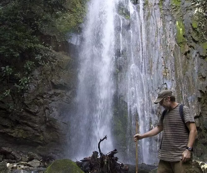 Hotel Bosque Del Cabo Rain Forest Lodge