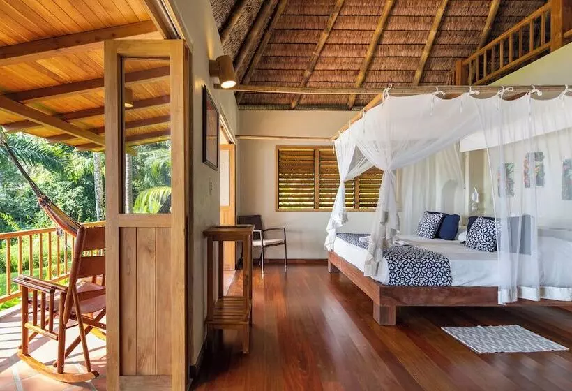 Hotel Bosque Del Cabo Rain Forest Lodge