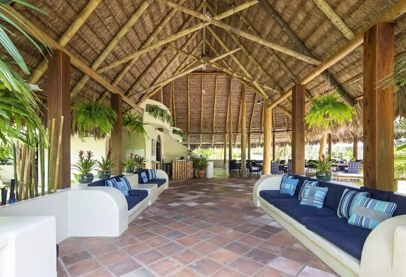 Hotel Bosque Del Cabo Rain Forest Lodge