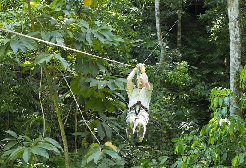 فندق Bosque Del Cabo Rain Forest Lodge