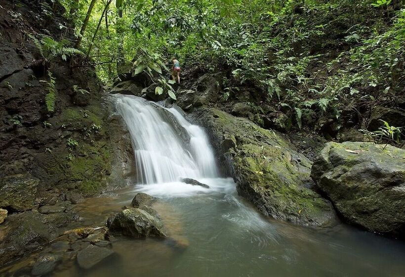 فندق Bosque Del Cabo Rain Forest Lodge