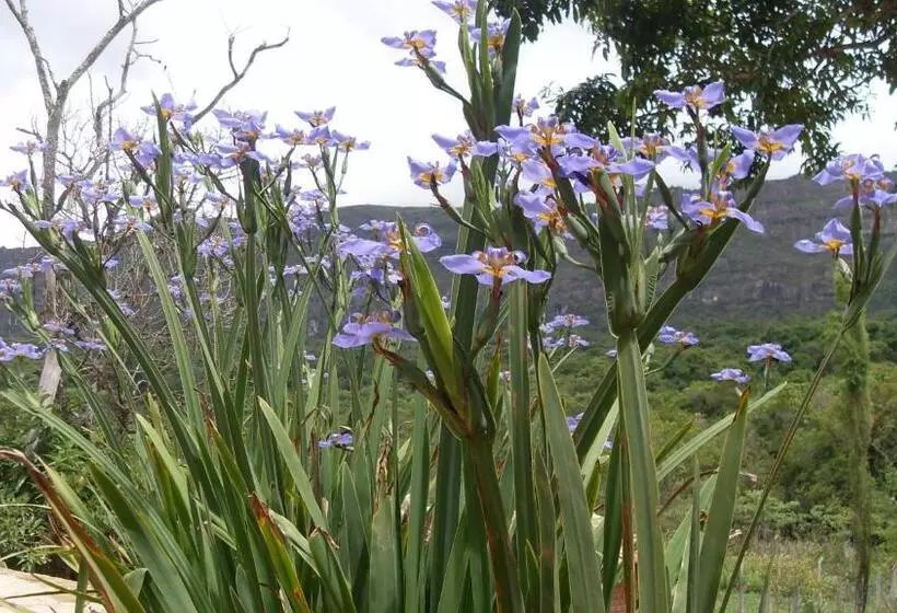 Hotel Pousada Papyrus