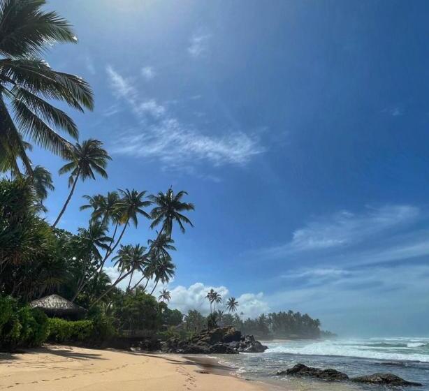 בית מלון כפרי Satin Doll