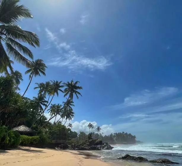 Отель Satin Doll