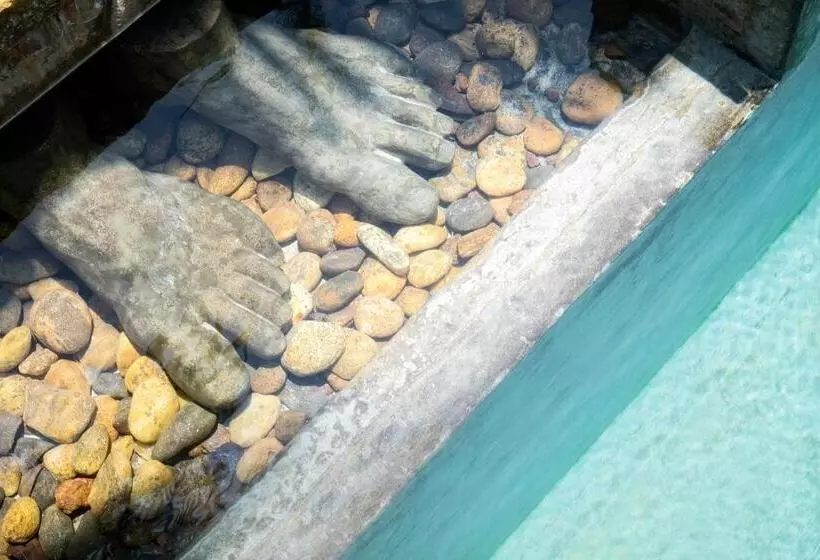 Отель Satin Doll