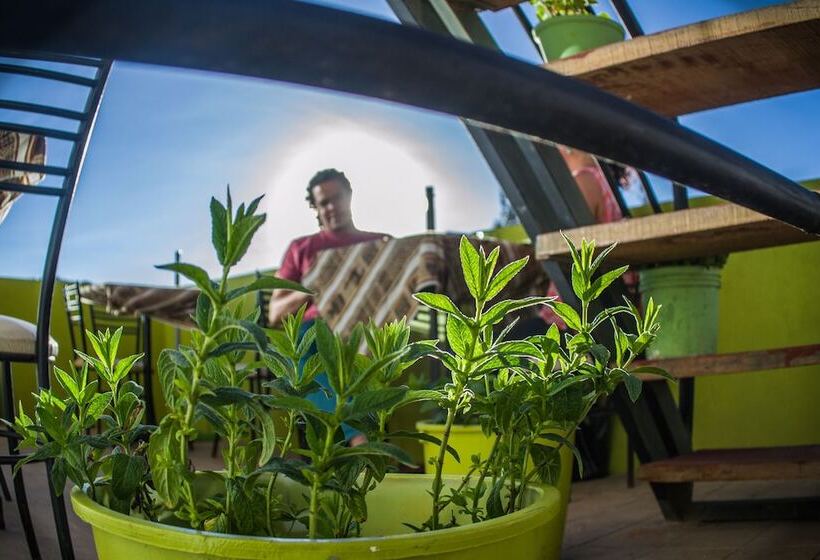 Sunset House Cusco Hostel