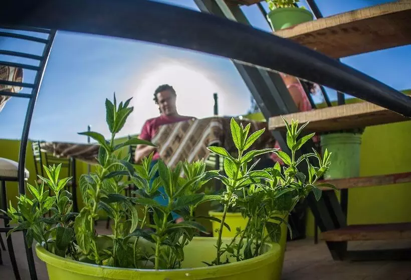 Sunset House Cusco Hostel