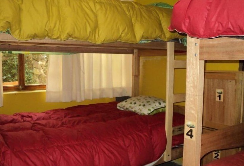 Sunset House Cusco Hostel