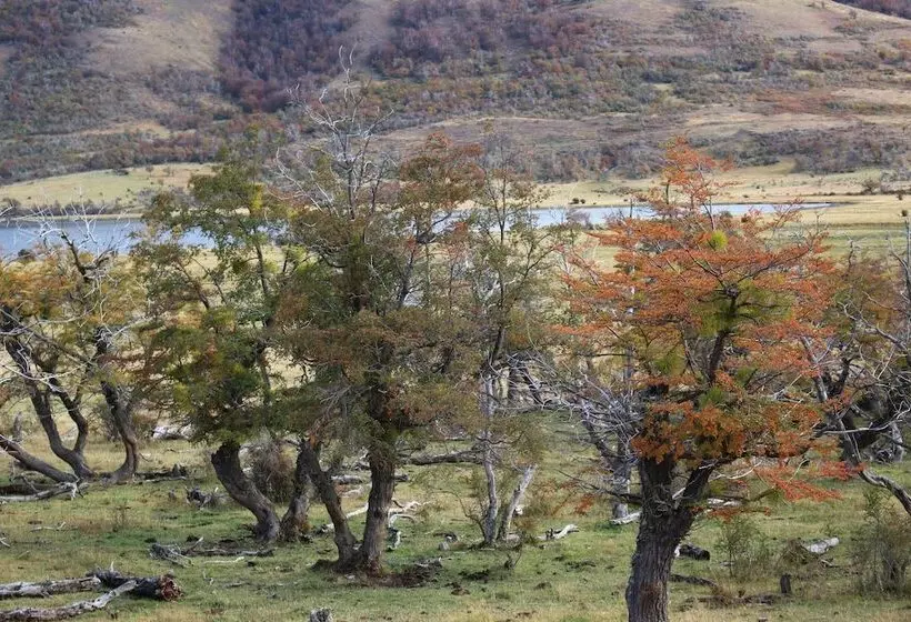 簡易ホテル Hostería Pionero