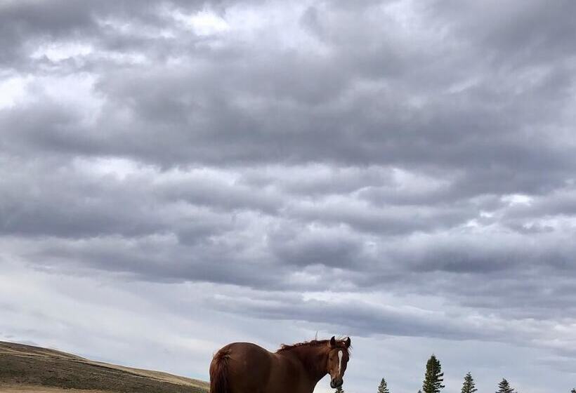 مسافرخانه Hostería Pionero