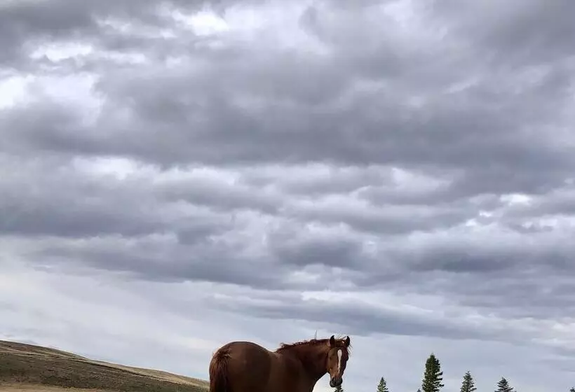 簡易ホテル Hostería Pionero