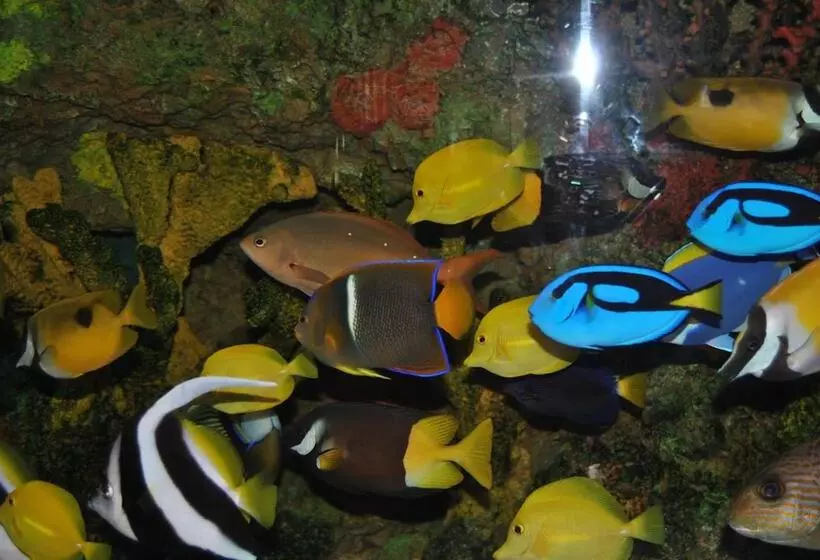 Hotelli C Mon Inn Thief River Falls