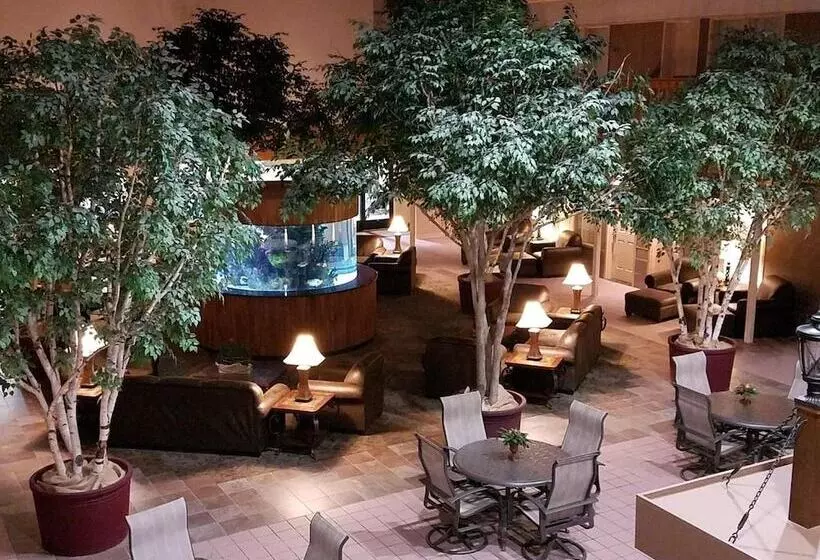 Hotelli C Mon Inn Thief River Falls