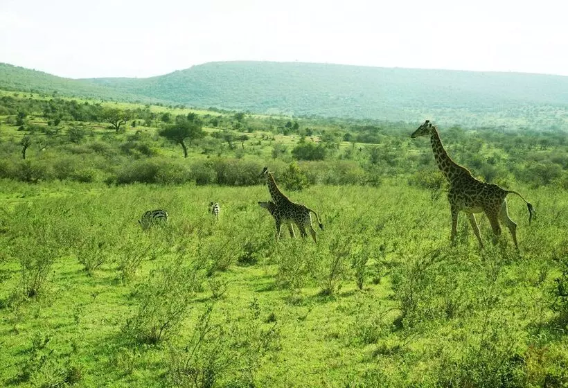 هتل Entumoto Safari Camp