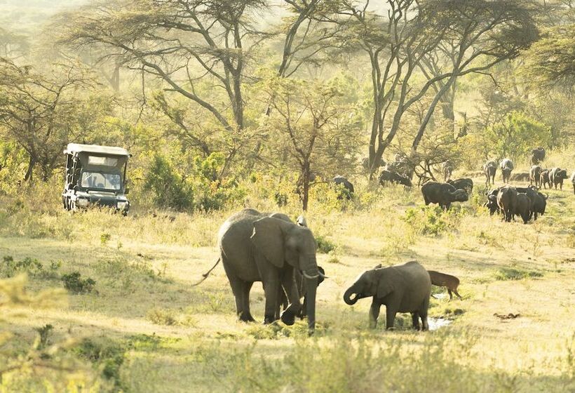 هتل Entumoto Safari Camp