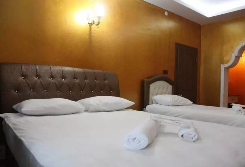 ホテル Grand Erciyes