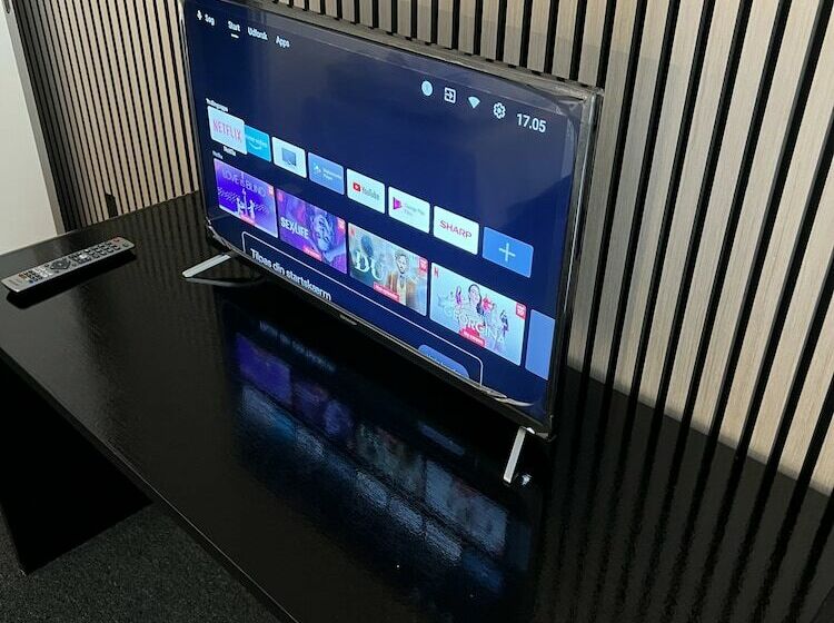 膳宿费 Skuldelev Kro