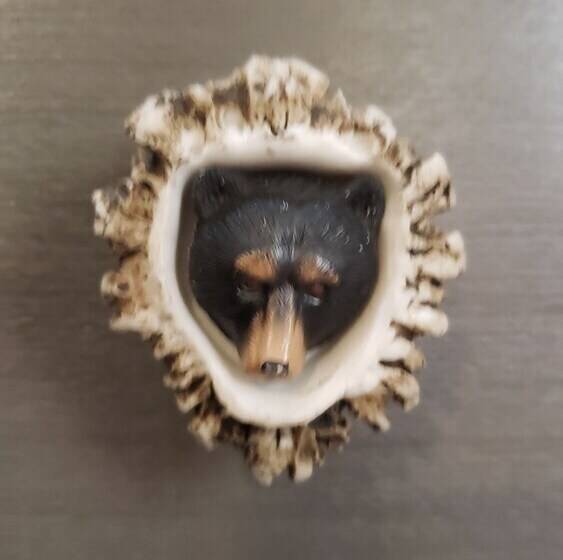 مبيت وإفطار Mooseberry Cabin, Willow Ak