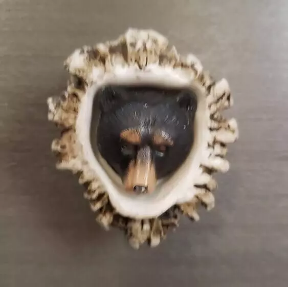 住宿加早餐 Mooseberry Cabin, Willow Ak