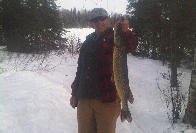 مبيت وإفطار Mooseberry Cabin, Willow Ak