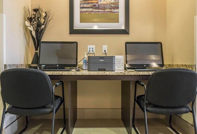 酒店 Comfort Inn & Suites Edmonton International Airport